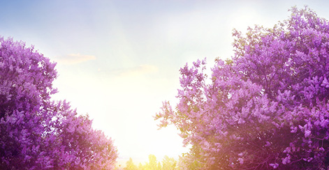 天池活泉润颜套 最新产品上市